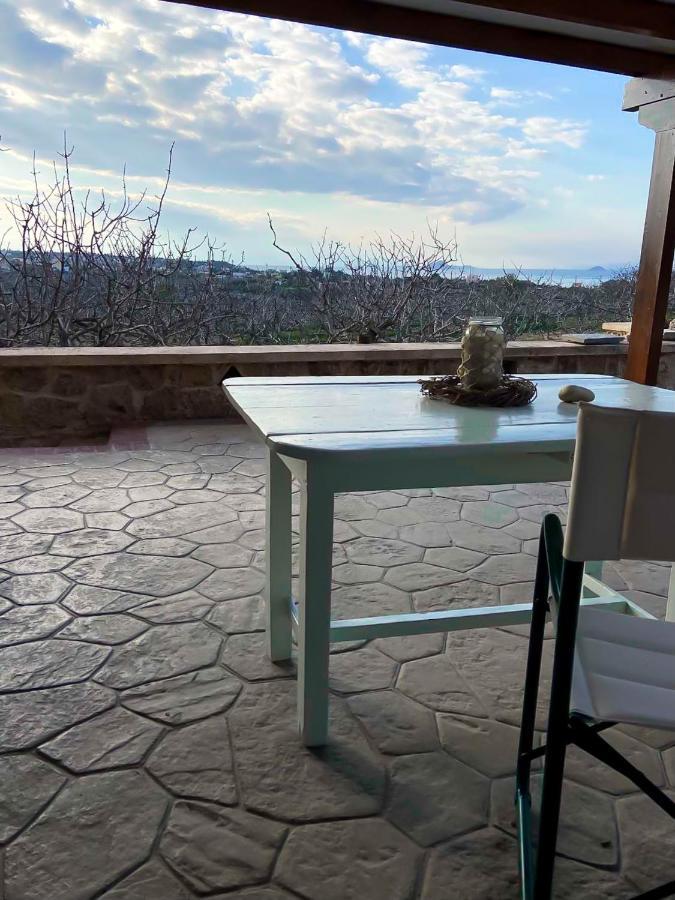Pistachio Guesthouse, Παραδοσιακός Ξενώνας Vathi  ภายนอก รูปภาพ