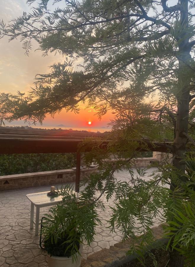 Pistachio Guesthouse, Παραδοσιακός Ξενώνας Vathi  ภายนอก รูปภาพ