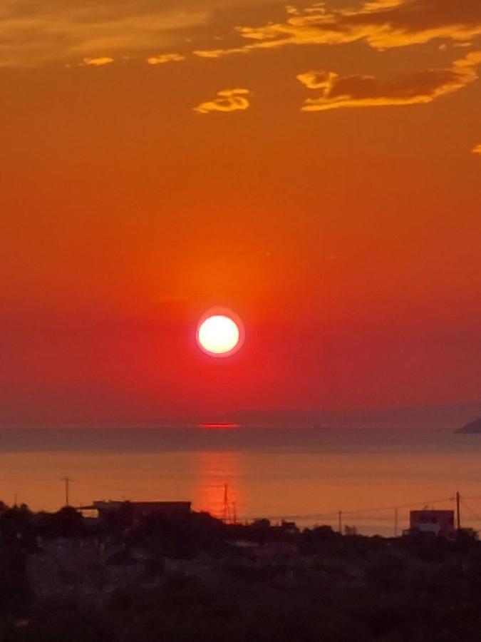 Pistachio Guesthouse, Παραδοσιακός Ξενώνας Vathi  ภายนอก รูปภาพ